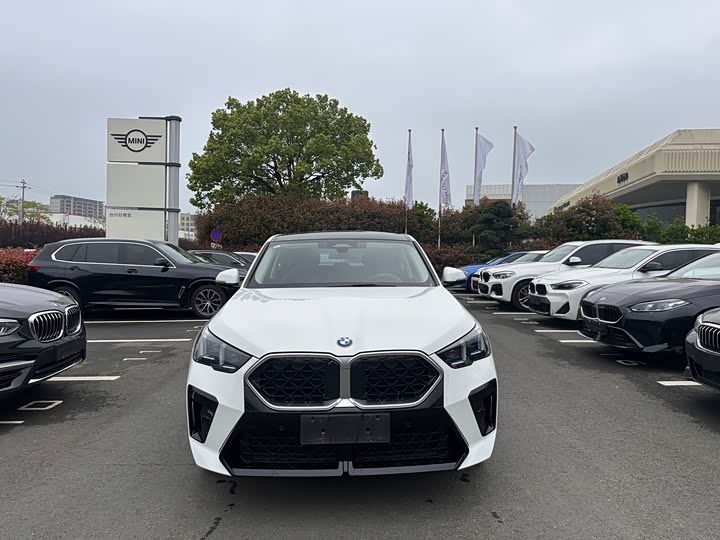 BMW X2, 2025 — фото 2 из 9