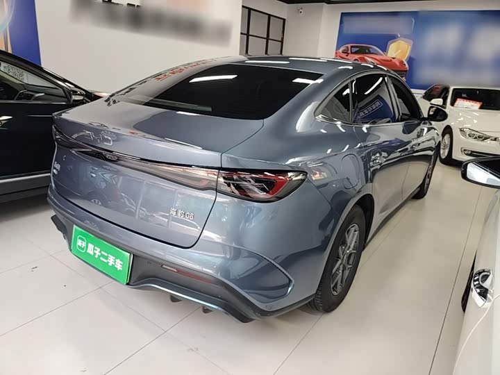 BYD Seal 06 Hybrid/EV, 2024 — фото 7 из 9