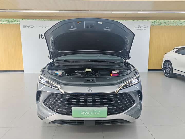 BYD Song L DM-i Hybrid, 2024 — фото 3 из 9