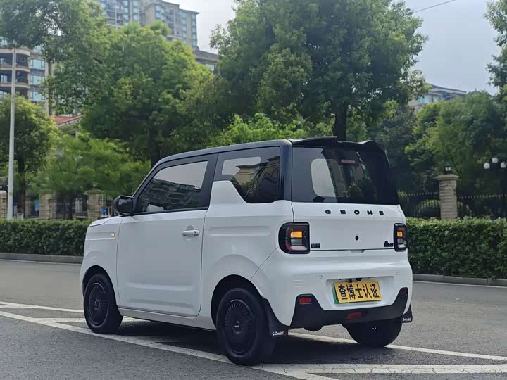 Geely Galaxy Panda Mini, 2023 — фото 5 из 9