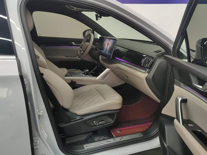 BYD Tang Hybrid/EV, 2024 — фото 8 из 9