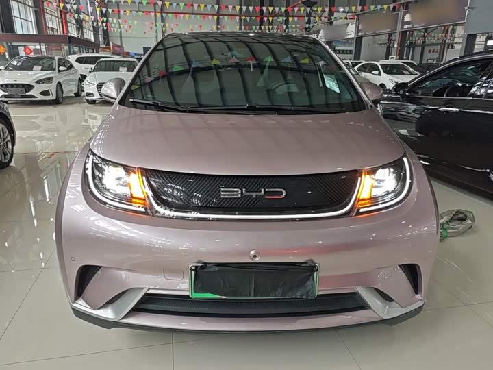 BYD Dolphin, 2023 — фото 3 из 9