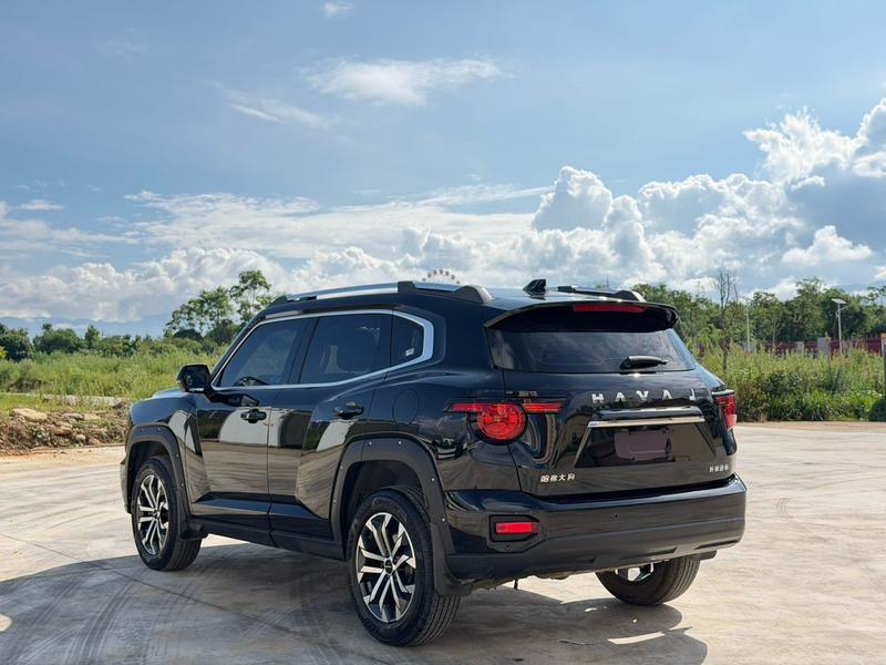 Haval H-Dog, 2023 — фото 4 из 9