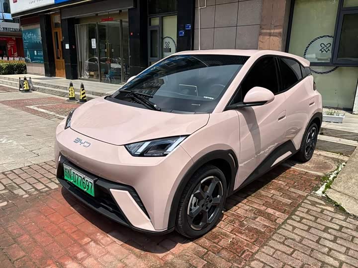 BYD Seagull, 2024 — купить в Чебоксарах под ключ