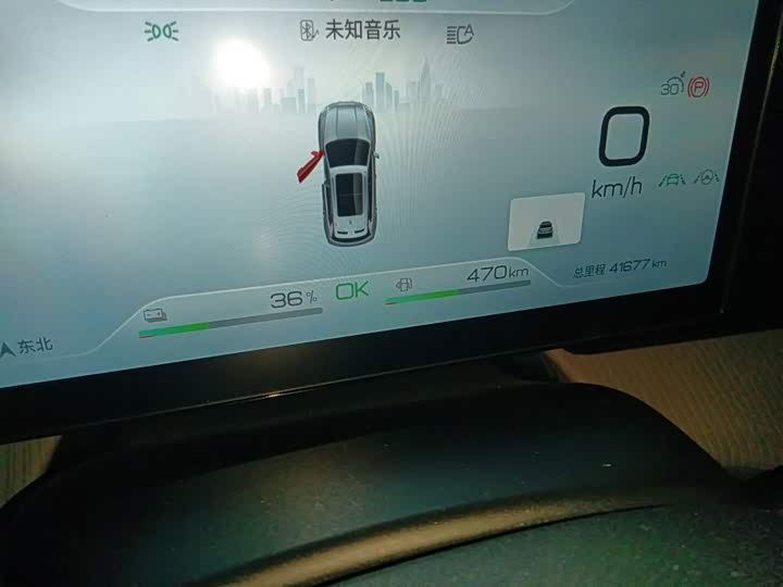 BYD Song Pro Hybrid, 2024 — фото 8 из 9