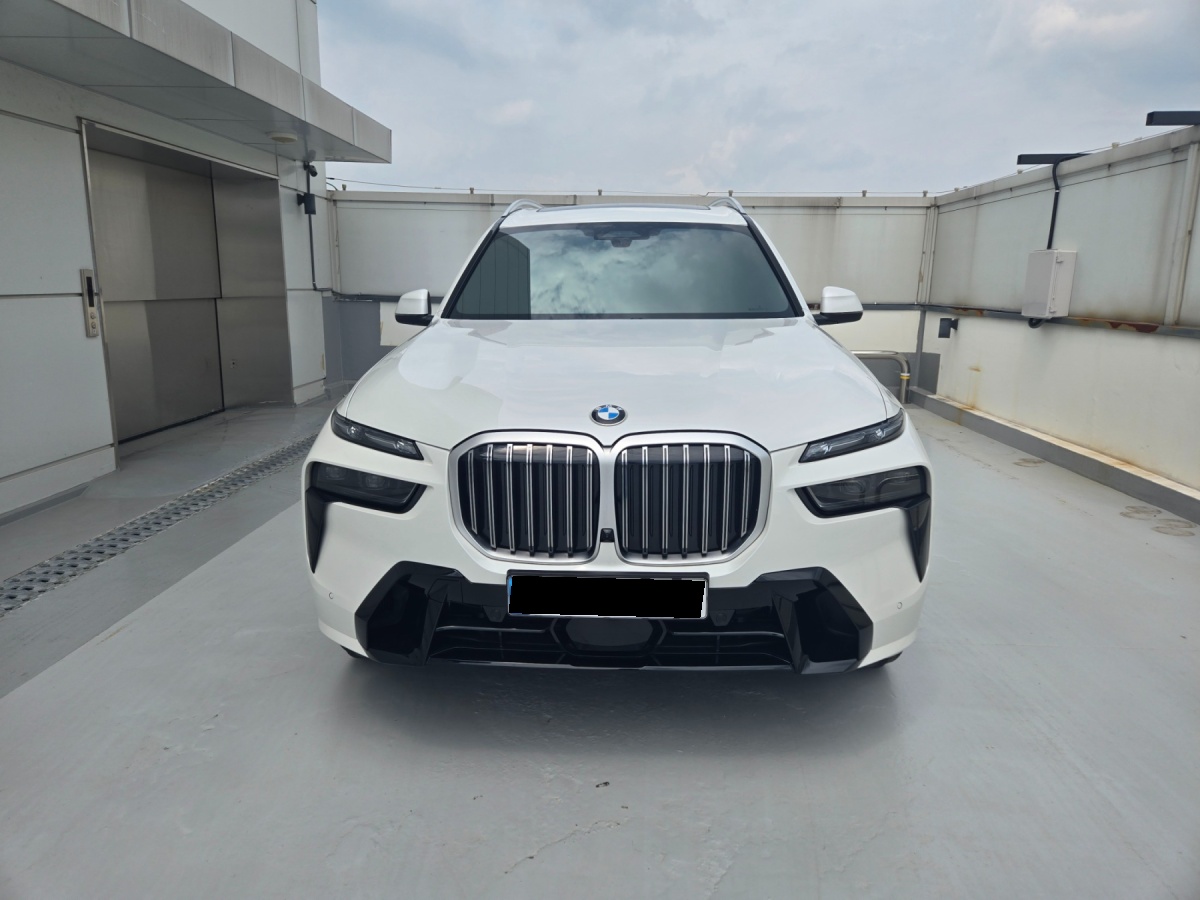 BMW X7, 2025 — фото 2 из 12