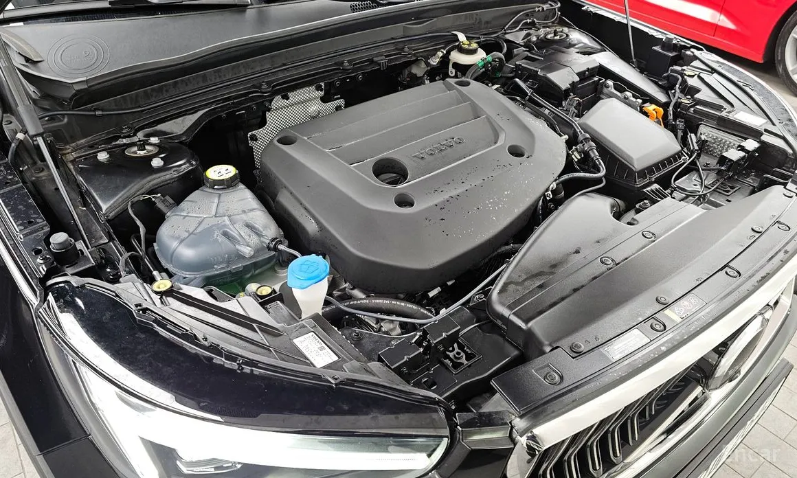 Volvo XC40, 2024 — фото 6 из 12