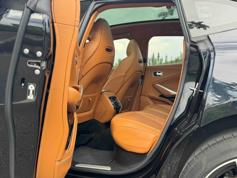 Aston Martin DBX, 2021 — фото 10 из 12
