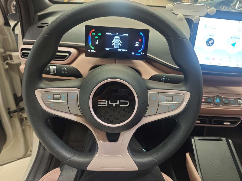BYD Seagull, 2025 — фото 11 из 12