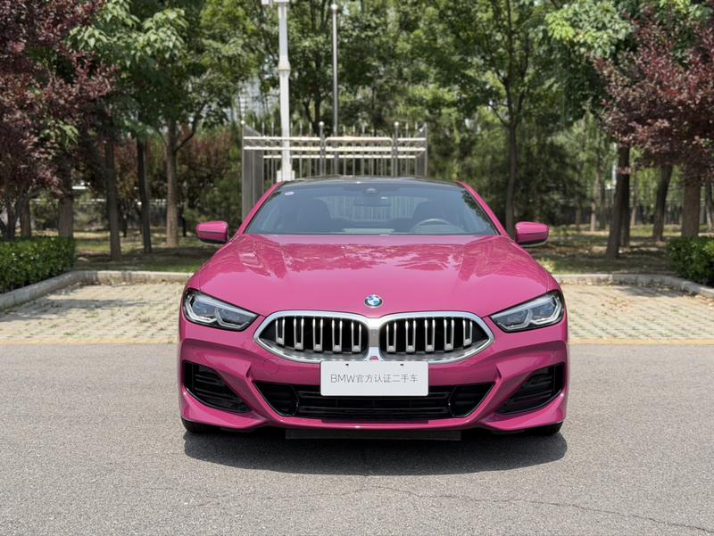 BMW 8 Series, 2025 — фото 2 из 12