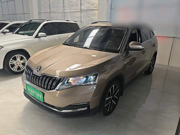 Skoda Kamiq, 2021 — фото 2 из 9