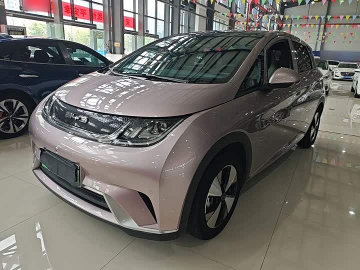 BYD Dolphin, 2023 — купить в Иванове под ключ