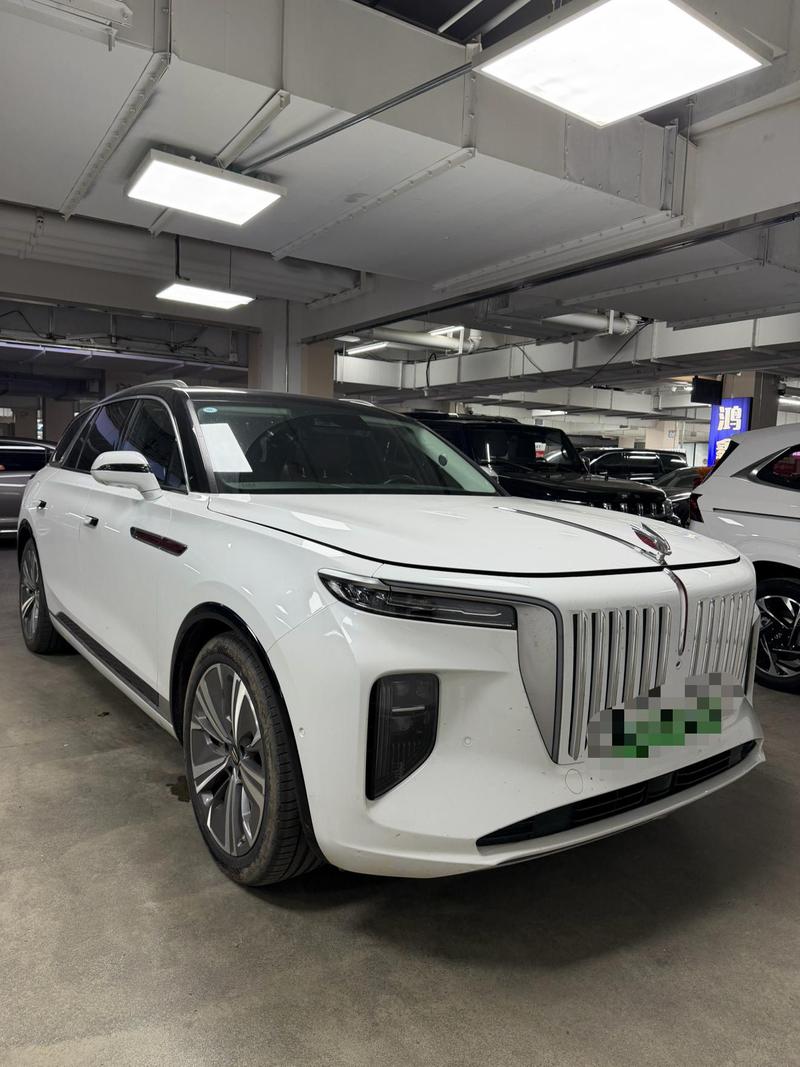 Hongqi E-HS9, 2022 — фото 3 из 12