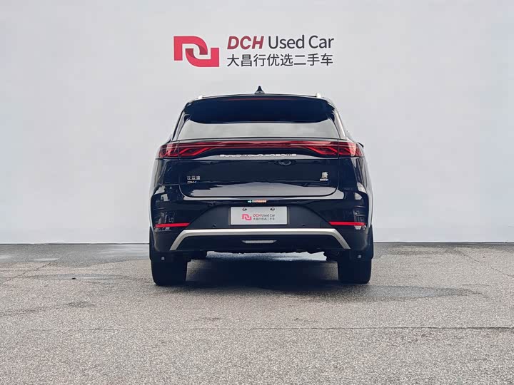 BYD Tang Hybrid/EV, 2024 — фото 4 из 9