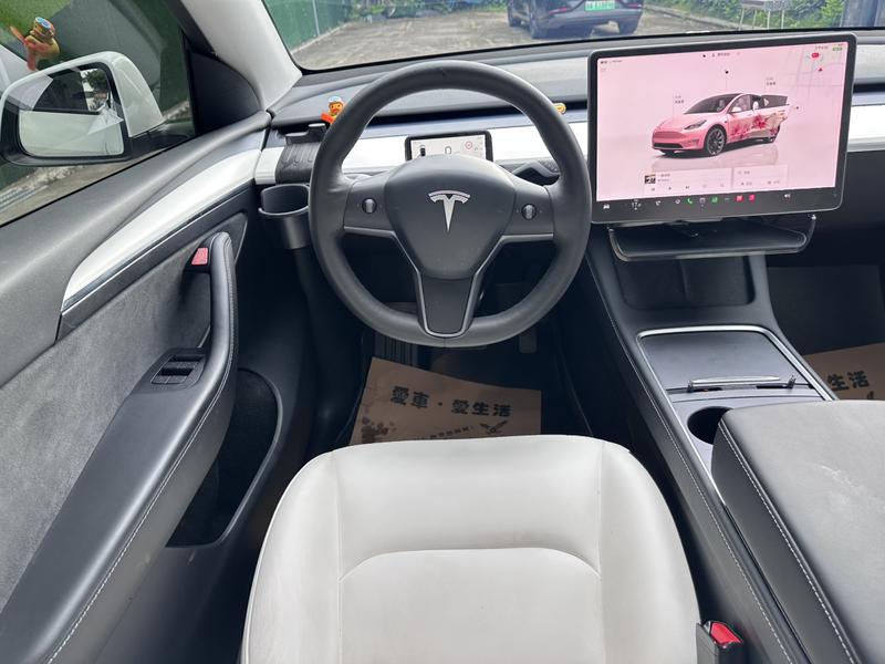 Tesla Model Y, 2021 — фото 12 из 12