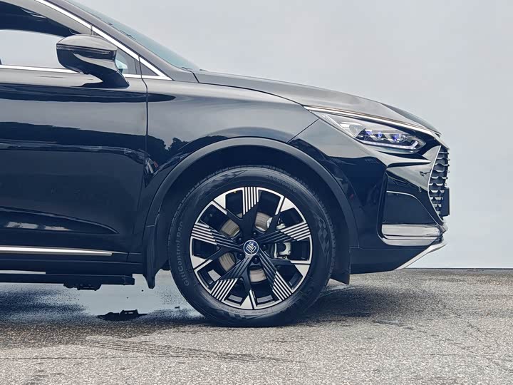 BYD Tang Hybrid/EV, 2024 — фото 6 из 9