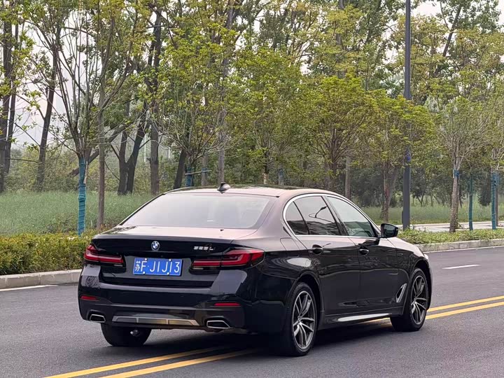 BMW 5 Series, 2022 — фото 9 из 9
