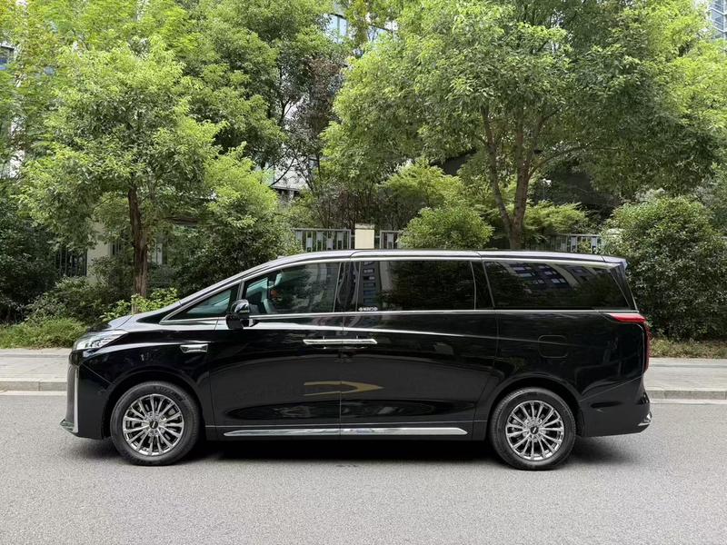 Wey 80 Hybrid, 2025 — фото 2 из 9