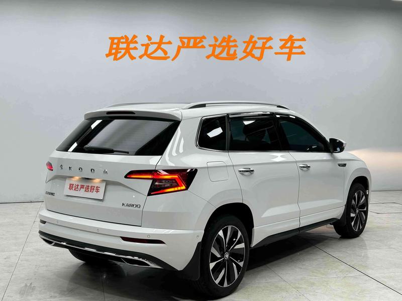 Skoda Karoq, 2023 — фото 6 из 12