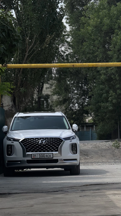 Hyundai Palisade, 2021 — фото 4 из 12