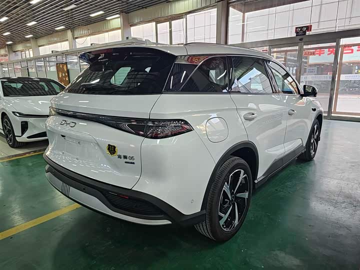 BYD Sea Lion 05 DM-i Hybrid, 2025 — фото 6 из 9