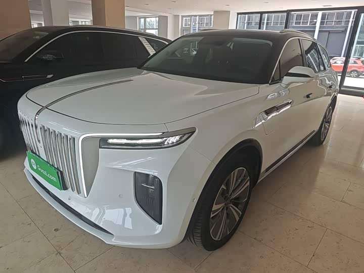 Hongqi E-HS9, 2023 — фото 2 из 9