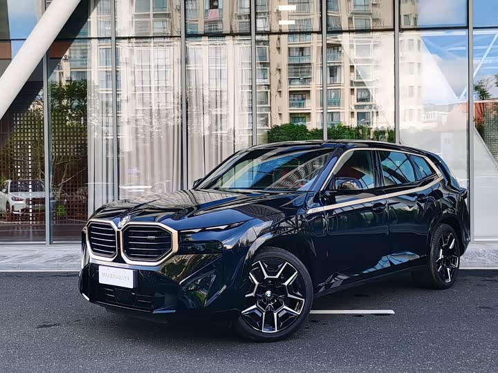 BMW XM, 2025 — фото 6 из 9