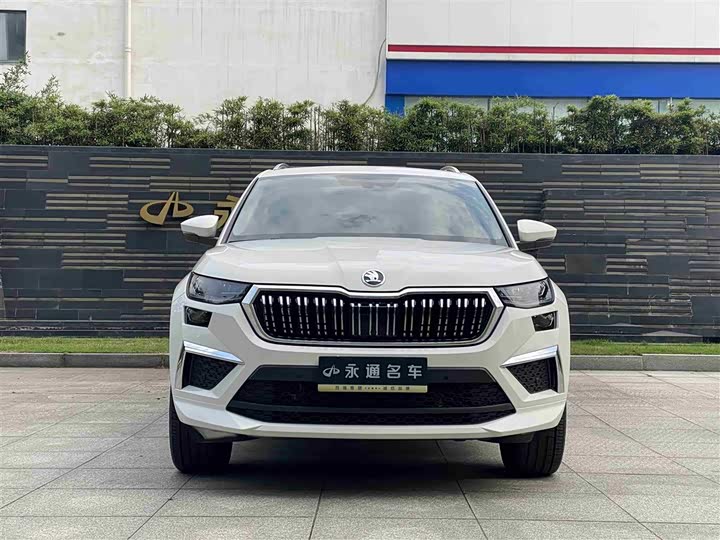 Skoda Kodiaq, 2022 — фото 2 из 9