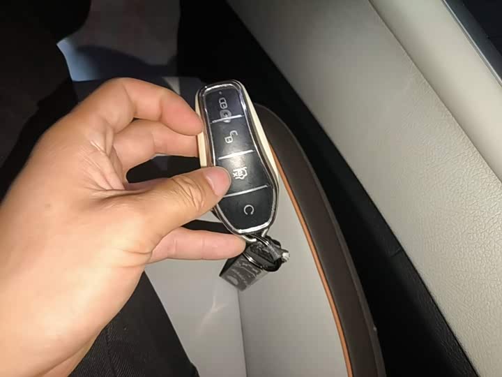 BYD Song Pro Hybrid, 2023 — фото 9 из 9