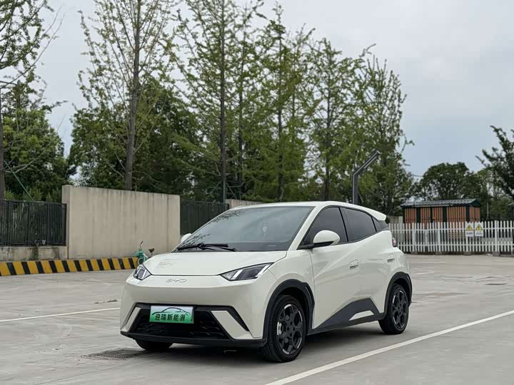 BYD Seagull, 2024 — купить в Чебоксарах под ключ