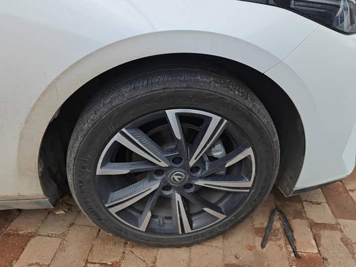 Changan Eado Plus, 2024 — фото 6 из 9