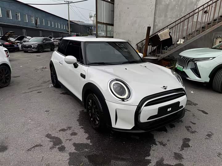 Mini Mini, 2023 — купить в Тольятти под ключ