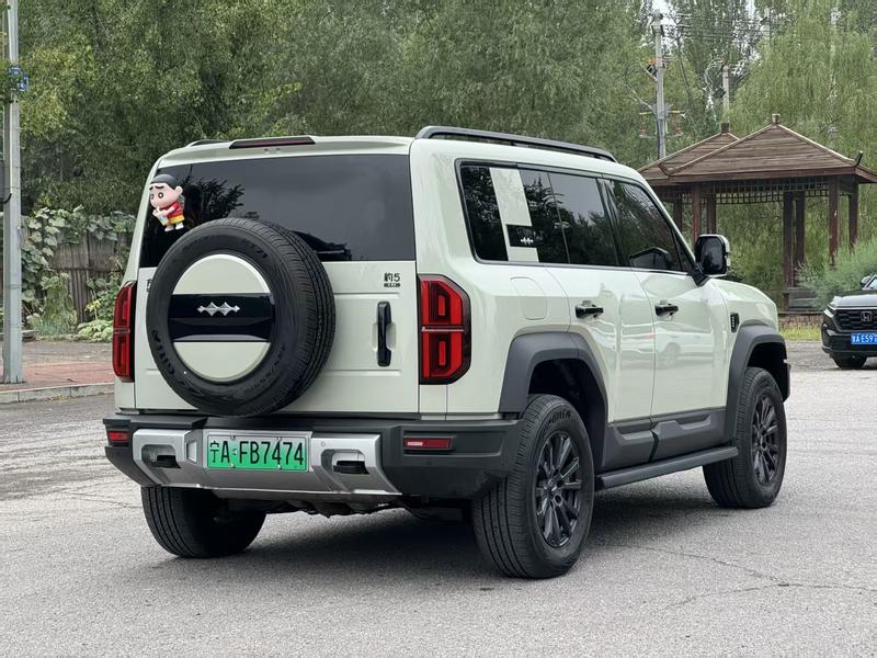 BYD FangChengBao Leopard 5, 2025 — фото 6 из 11