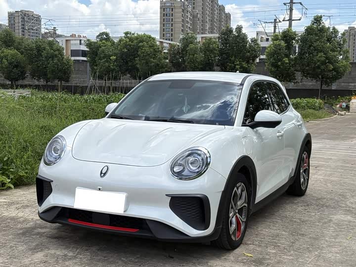 Ora Good Cat GT (03 GT), 2024 — купить в Кирове под ключ
