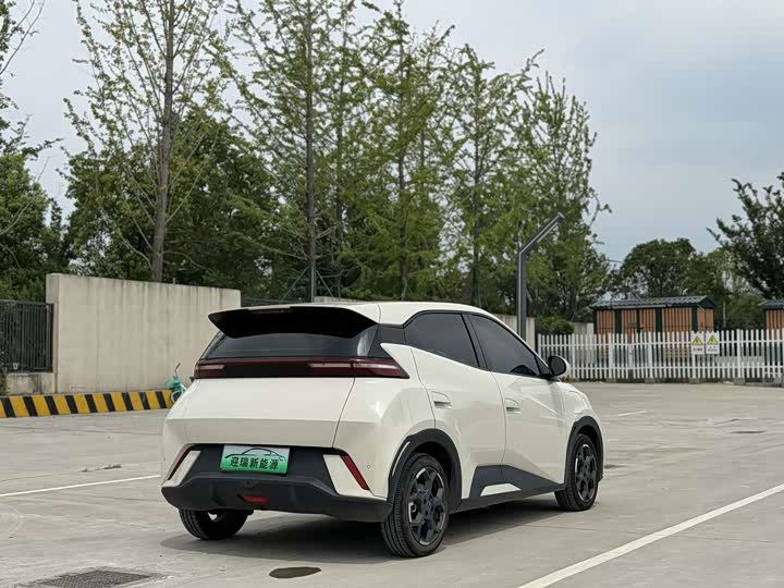 BYD Seagull, 2024 — фото 6 из 9