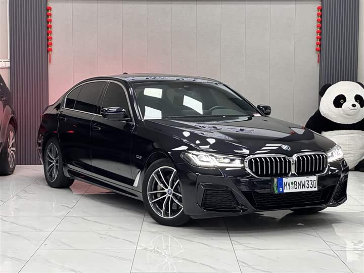BMW 5 Series Hybrid, 2023 — фото 3 из 9
