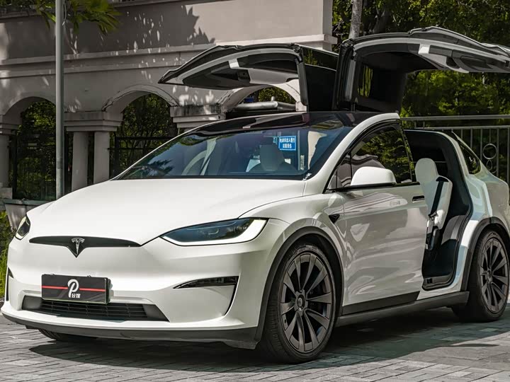 Tesla Model X, 2022 — фото 3 из 9