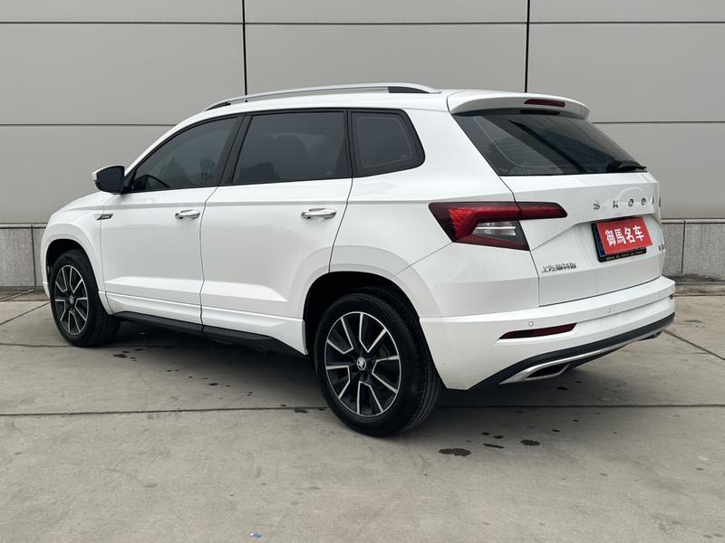 Skoda Karoq, 2024 — фото 4 из 11