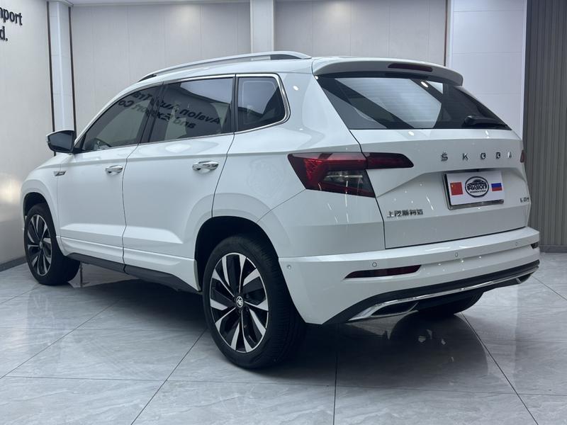 Skoda Karoq, 2024 — фото 4 из 12