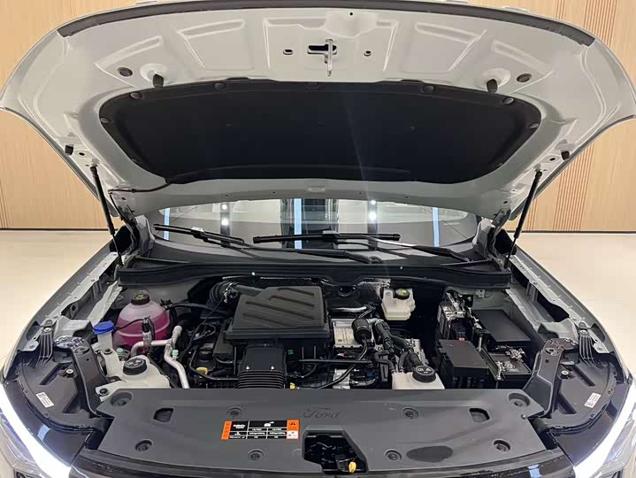 Ford Equator Hybrid, 2025 — фото 8 из 12