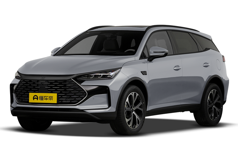 BYD Tang Hybrid/EV, 2021 — фото 9 из 9