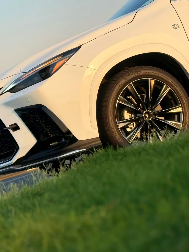 Lexus NX-Series, 2026 — фото 6 из 10