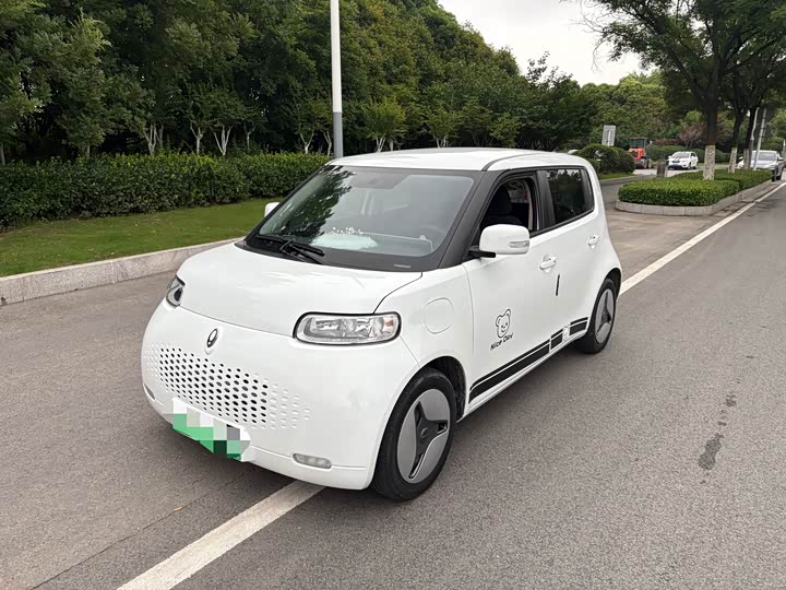 Ora White Cat, 2022 — купить в Перми под ключ