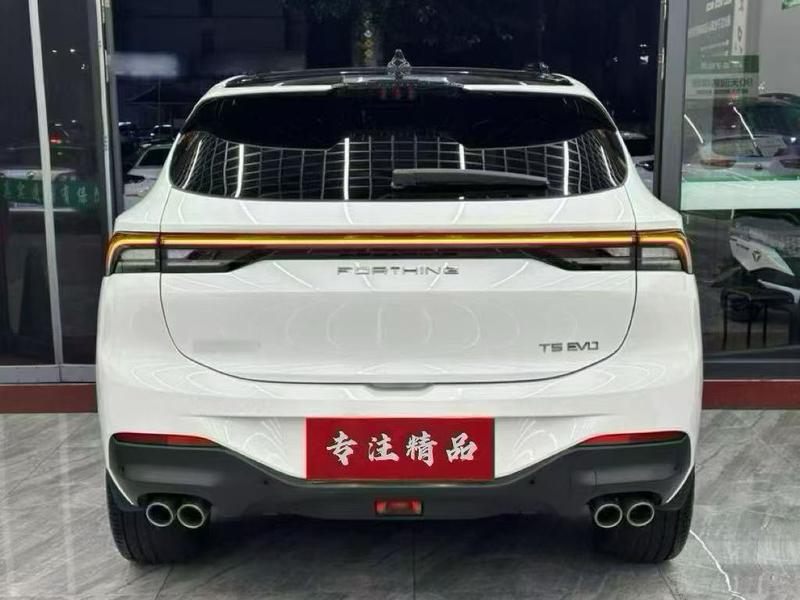 Dongfeng Forthing T5 EVO, 2023 — фото 5 из 9