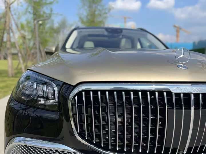 Mercedes-Benz Maybach GLS, 2023 — фото 4 из 9