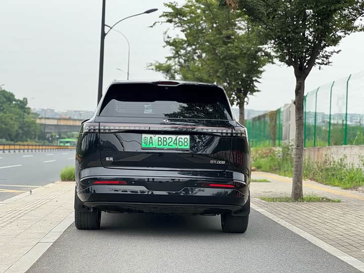 Dongfeng Yipai eπ 008, 2024 — фото 6 из 9