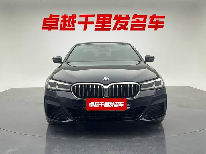 BMW 5 Series Hybrid, 2021 — фото 8 из 9