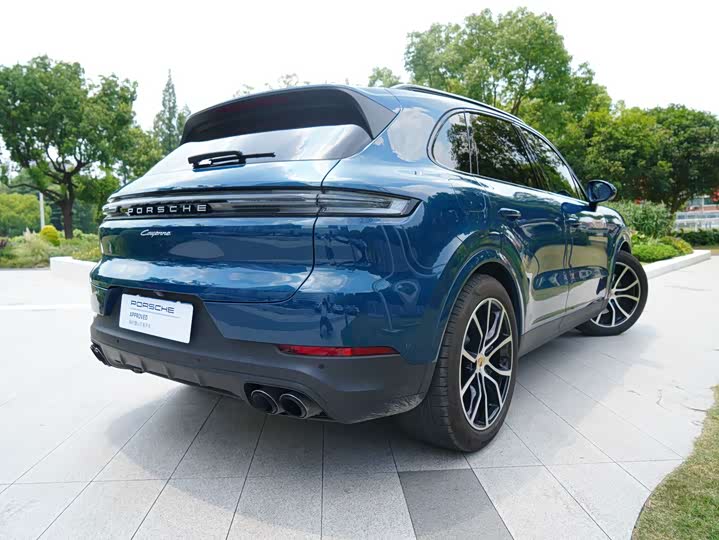 Porsche Cayenne, 2024 — фото 9 из 9