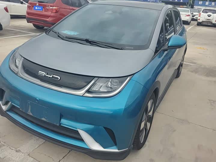 BYD Dolphin, 2021 — купить в Владимире под ключ