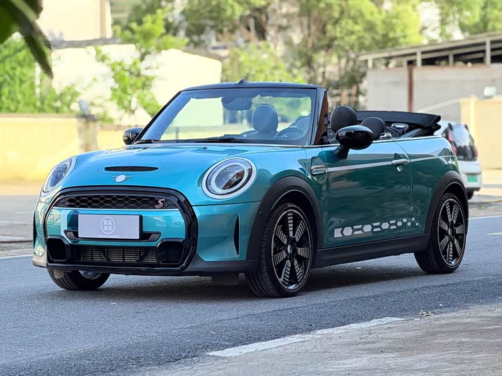 Mini Mini, 2023 — купить в Смоленске под ключ
